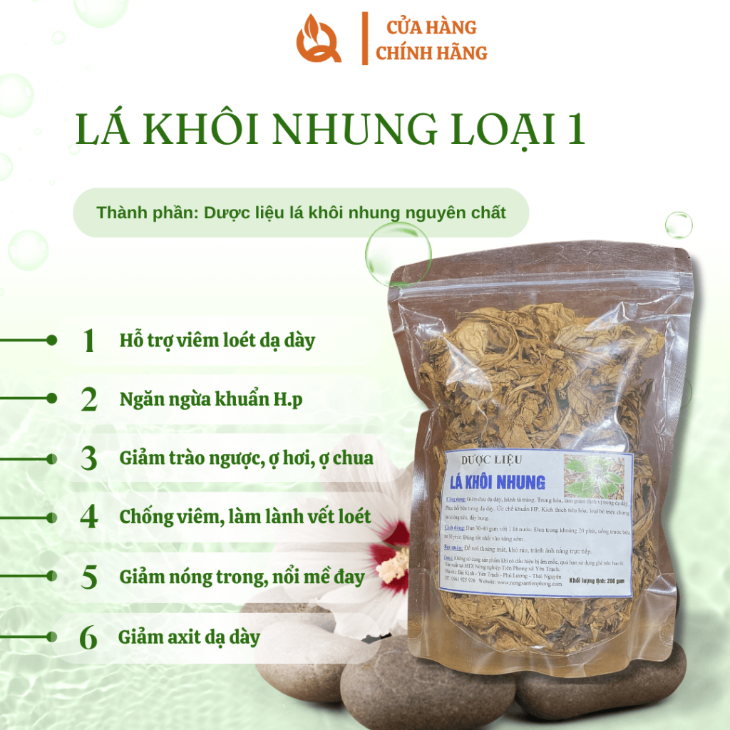 Lá Khôi tía rừng sấy khô - Khôi nhung rừng Hỗ trợ đau dạ dày, đại tràng, trào ngược, ngừa khuẩn H.p, hỗ trợ tiêu hóa