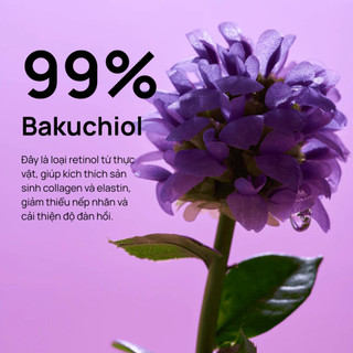 Serum chống lão hoá EQQUALBERRY Bakuchiol Plumping 30ml