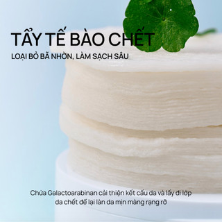 Toner pad làm sạch da chết EQQUALBERRY Swimming Pool 220ml/70 miếng