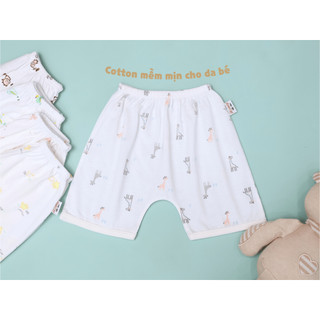 HONEY (0-9M) Combo 5 quần cotton mềm mại thoáng mát, 5 họa tiết đáng yêu cho bé trai bé gái