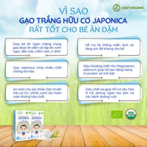 Ảnh Gạo trắng ăn dặm cho bé Japonica Hoa Sữa Foods hộp 1kg 1