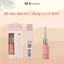 Keo Dán Mi XIXI Trong Suốt Chống Nước Nhanh Khô Chắc Chắn