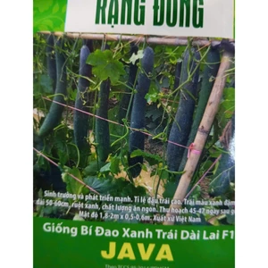HẠT GIỐNG BÍ ĐAO XANH TRÁI DÀI JAVA