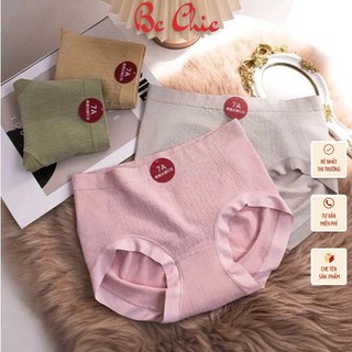 Set Quần lót 7A cotton dệt kim kháng khuẩn cạp cao - Quần chip nữ BC CHIC