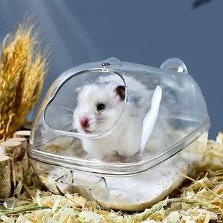 nhà tắm hamter