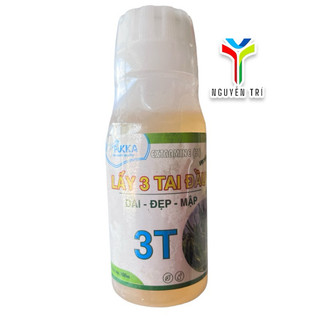 Chế phẩm 3T Lấy 3 Tai Đầu – Giúp trái thanh long dài đẹp mập, nuôi búp khỏe PUKKA 100ml