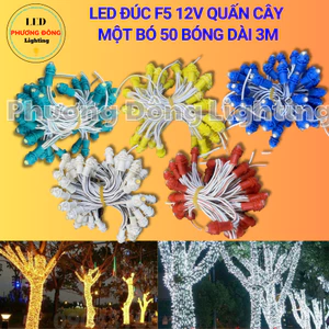 LED Đúc quấn cây F5 12V một bó 50 bóng Dài 3m