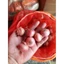 Hành tía ta Sơn La đặc sản hành Yên Châu Sơn La