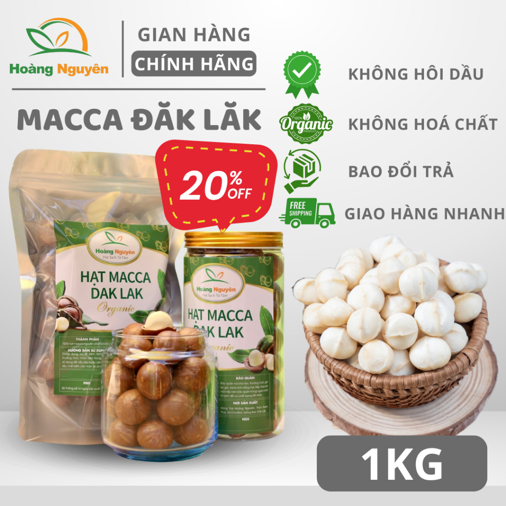 1KG Hạt Macca Nứt Vỏ HOÀNG NGUYÊN, Hạt Mắc Ca Tách Vỏ Đăk Lăk, Hạt Dinh ...