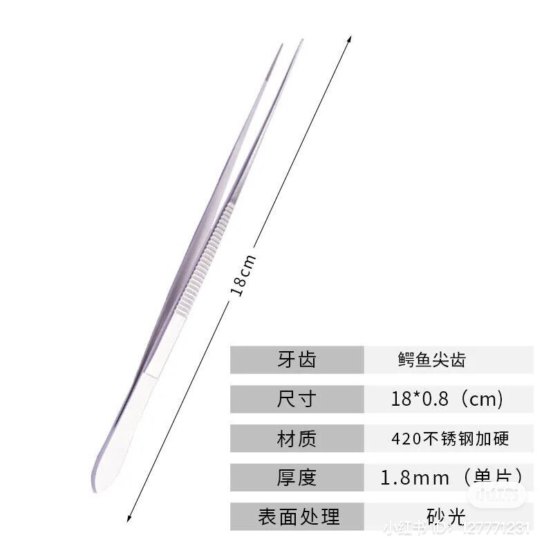 Nhíp inox cắm cây, kéo cong thuỷ sinh trồng cây thuỷ sinh,bán cạn, terrarium
