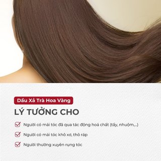 Serum Dưỡng Tóc Bưởi Hồng ABERA - Chăm Sóc Tóc Khỏe Mạnh, Giảm Rụng Tóc, Không Sulfate 50ml