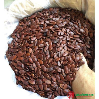 Hạt dưa rang mộc Tân Lộc Phát túi 500g