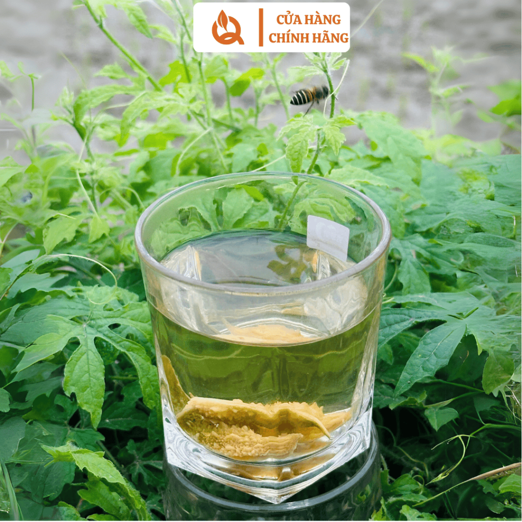 Khổ qua rừng thái lát - Trà khổ qua rừng hỗ trợ huyết áp cao, mỡ máu tiểu đường Hương vị thơm đắng thanh ngọt hậu