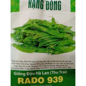 HẠT GIỐNG ĐẬU HÀ LAN ( THU TRÁI) RD 939