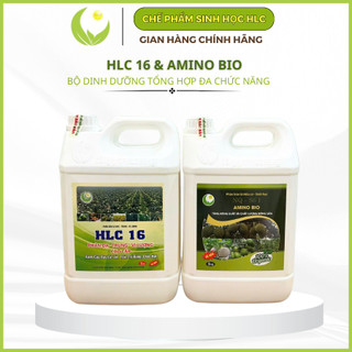 Bộ đôi Can 5L PHÂN BÓN HLC 16 và AMINO bật chồi vọt đọt mập cơi xanh dày lá