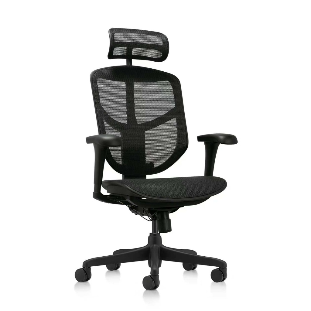 [Phiên bản 2025] Ghế công thái học Ergohuman Enjoy 2