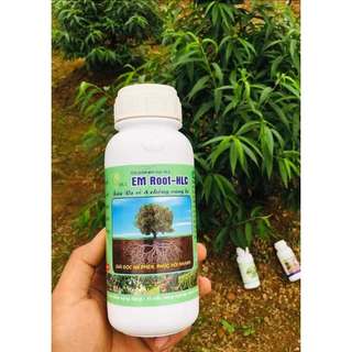 KÍCH THÍCH RA RỄ CAN 5L - EM ROOT SIÊU RA RỄ HLC - THUỐC KÍCH RỄ CHO CÂY CỰC MẠNH, KÍCH CHỒI, XANH LÁ