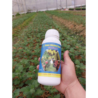 NANO KHOÁNG CANXI HLC 500ML NÂNG PH ĐẤT - TĂNG PH ĐẤT, HẠ PHÈN, THAY THẾ VÔI,  KHÔNG GÂY CHAI ĐẤT, CÂN BẰNG PH