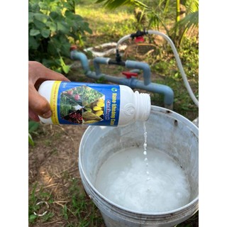 NANO KHOÁNG CANXI HLC 500ML NÂNG PH ĐẤT - TĂNG PH ĐẤT, HẠ PHÈN, THAY THẾ VÔI,  KHÔNG GÂY CHAI ĐẤT, CÂN BẰNG PH