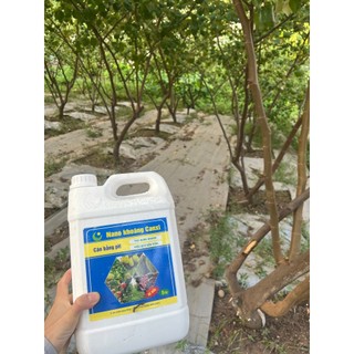 NANO KHOÁNG CANXI HLC 500ML NÂNG PH ĐẤT - TĂNG PH ĐẤT, HẠ PHÈN, THAY THẾ VÔI,  KHÔNG GÂY CHAI ĐẤT, CÂN BẰNG PH