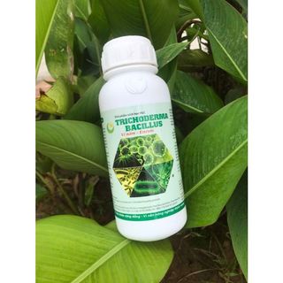 NẤM ĐỐI KHÁNG TRICHODERMA BACILLUS HLC (DẠNG NƯỚC) 500ML - Ủ PHÂN CHUỒNG, TƯỚI CÂY, ĐỐI KHÁNG NẤM BỆNH, CẢI TẠO ĐẤT