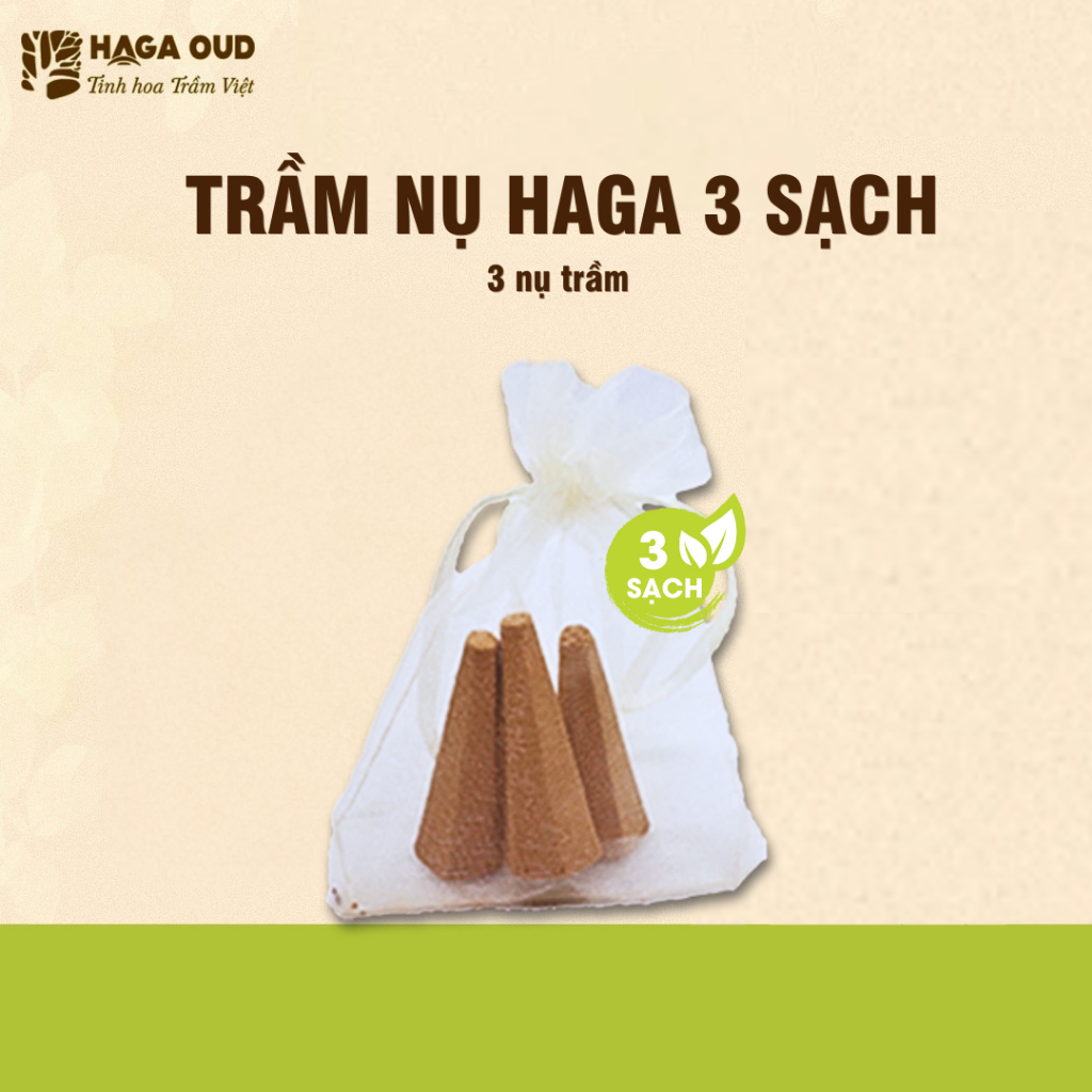 Ảnh [GIFT] Trầm nụ Haga 3 Sạch, Hương thơm trầm hương ngọt ấm, Xông nhà tẩy uế - 3 NỤ 1