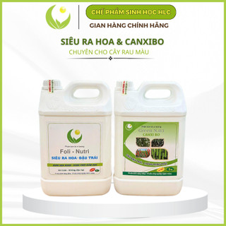 Combo 2 can 5L cho cây ra hoa nhiều đậu trái,chống rụng cho rau ăn trái cà chua, ớt, đậu leo, bầu bí
