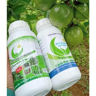 Combo 2 can 5L cho cây ra hoa nhiều đậu trái,chống rụng cho rau ăn trái cà chua, ớt, đậu leo, bầu bí