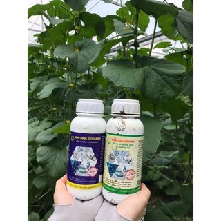 "NANO BẠC ĐỒNG 500ML - GIẢI PHÁP PHÒNG NGỪA VI KHUẨN, NẤM BỆNH, DỪNG BỆNH NGAY SAU KHI PHUN, AN TOÀN CHO CÂY TRỒNG"