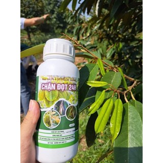 CHẶN ĐỌT 24h can 5L chuyên dùng cho sầu riêng