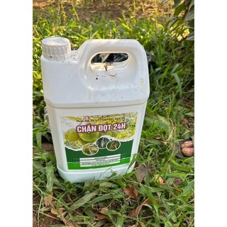 CHẶN ĐỌT 24h can 5L chuyên dùng cho sầu riêng