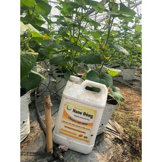 NANO ĐỒNG RỬA VƯỜN HLC 500ml - XỬ LÝ ĐẤT TRỒNG, XỬ LÝ GIÁ THỂ TRỒNG CÂY, TẨY RỬA RONG RÊU, NẤM, VI KHUẨN SAU THU HOẠCH