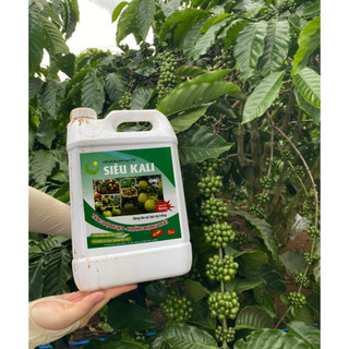 SIÊU KALI HLC 500ML - SIÊU NGỌT TRÁI, TĂNG ĐỘ NGỌT TRÁI, CHẮC TRÁI, TO CỦ, TO HOA CHO CÂY TRÔNG