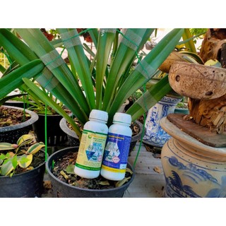 Cặp can 5L nano bạc đồng và nano đồng oxyclorua hlc phòng ngừa nấm khuẩn