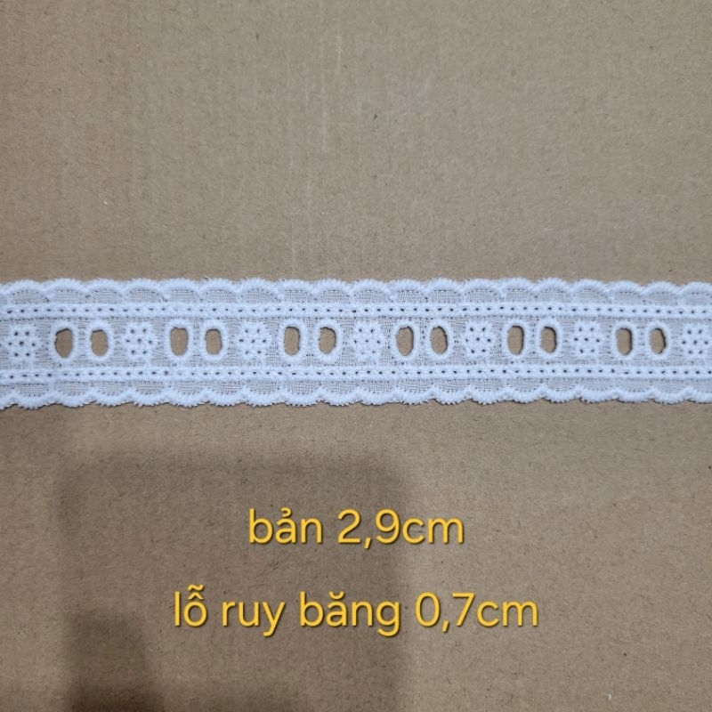 Trắng bản 2,9cm