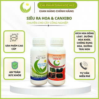 Combo 2 chai 500ml cho cây ra hoa nhiều đậu trái, dưỡng bông , chống rụng bông và trái cho cây công nghiệp, tiêu,cà phê