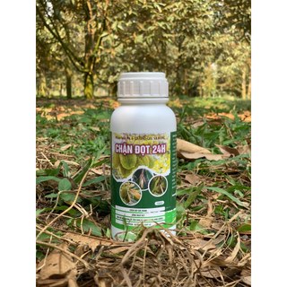 Chặn đọt 24h chai 500ml