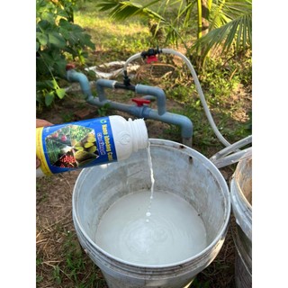 NÂNG PH ĐẤT NANO KHOÁNG CANXI CAN 5 LÍT  - TĂNG PH ĐẤT NHANH, HẠ PHÈN, CÂN BẰNG PH ĐẤT, THAY THẾ VÔI