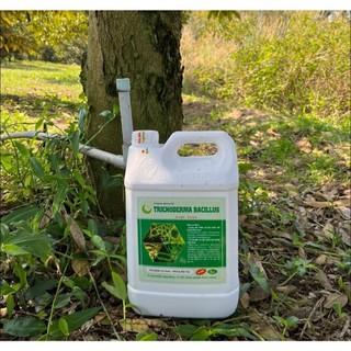 NẤM ĐỐI KHÁNG TRICHODERMA BACILLUS HLC CAN 5 L (DẠNG NƯỚC) - ĐỐI KHÁNG NẤM BỆNH, PHÒNG THỐI RỄ, TUYẾN TRÙNG, CẢI TẠO ĐẤT