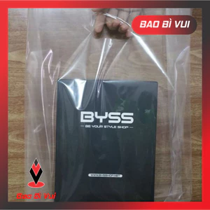 Túi hột xoài trong dày dặn