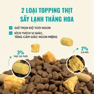 Thức Ăn Cho Mèo Bite Of Wild F42 Combo 6 Gói 1KG, Công Thức 6 Loại Cá, Không Ngũ Cốc Cho Mèo Mọi Lứa Tuổi