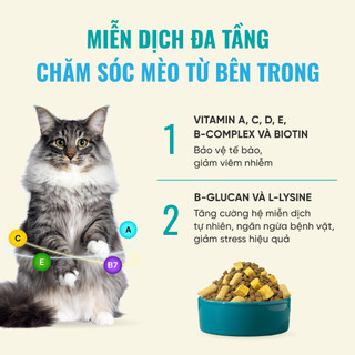 Thức Ăn Cho Mèo Bite Of Wild F42 Combo 3 Gói 1KG, Công Thức 6 Loại Cá, Không Ngũ Cốc Cho Mèo Mọi Lứa Tuổi