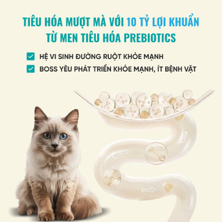 Thức Ăn Cho Mèo Bite Of Wild F42 Combo 3 Gói 1KG, Công Thức 6 Loại Cá, Không Ngũ Cốc Cho Mèo Mọi Lứa Tuổi