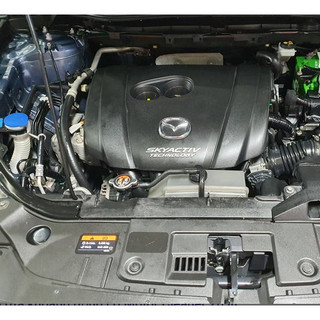 GRASS CHÍNH HÃNG - Dung dịch rửa khoang động cơ Motor Cleaner 5 lít