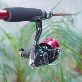 [LK HÒA] COMBO CÂU LURE CẦN CHEAP MÁY ĐỨNG DAIWA MG ĐẦY ĐỦ, COMBO CHUYÊN CÂU LURE CHỈ VIỆC LẮP VÀO VÀ CÂU