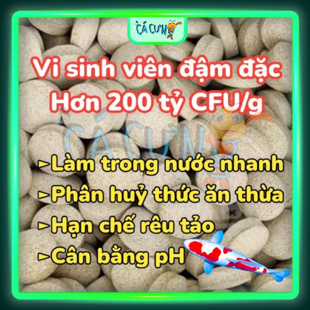 Vi sinh viên làm trong nước, giảm rêu tảo hại hồ cá thủy sinh, bể cá ...