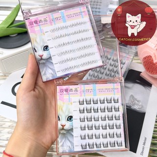 Mi Giả Cụm MEIJIE SHANGPIN & Mi Dưới Tách Sợi Có Sẵn Keo Thạch Silicon Trong Suốt, Tiện Lợi