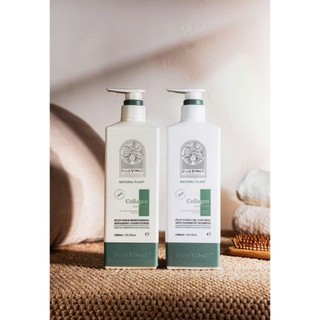 BỘ dầu gội xả Collagen Vinge Trắng |Kích Thích Mọc Tóc, Phục Hồi Tóc Hư Tổn Hàng Chính Hãng Ý