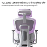 Ghế Công Thái Học CTH-88, CTH-68 An Khang – Ghế Xoay Văn Phòng Cao Cấp, FULL LƯỚI, Bảo Vệ Cột Sống Hiệu Quả — ảnh 3