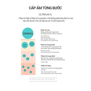 Set 2 Hộp 10 Mặt Nạ Dưỡng Ẩm Chuyên Sâu Elravie Hyaluronic Amino Mask 25g/ea